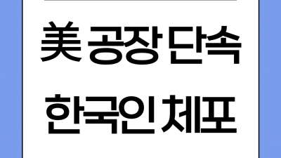 트럼프, 현대차 배터리 공장 불법체류 단속 언급