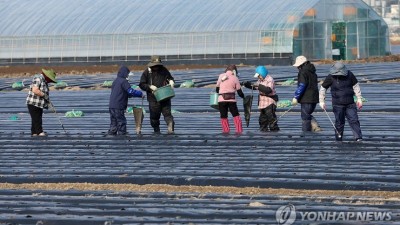 일손 부족한 농어촌, 숙련 외국인 고용 한도 30→50% 확대