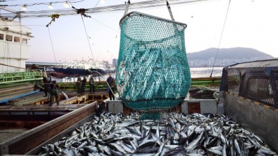월급 655만원, 외국인이 절반·한국인만 줄었다