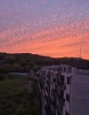 용접